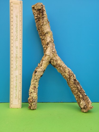 Cork bark branch - bark,