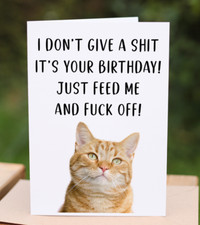 Personalised Rude Funny Happy Birthday Card From The Cat Ginger Cat For Dad Mum
