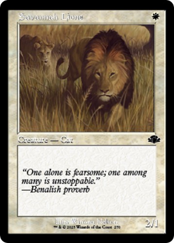 Savannah lions - lions, frame)