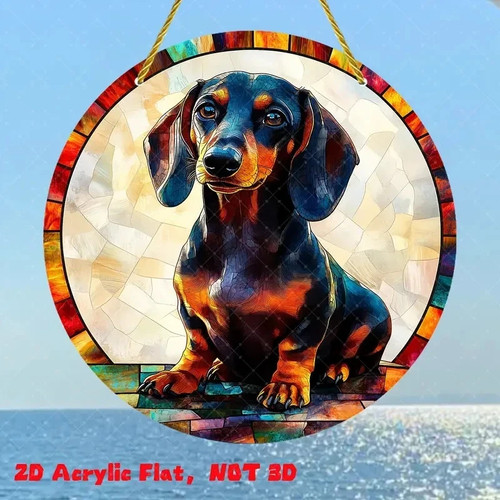 Black and tan dachshund - tan, dog