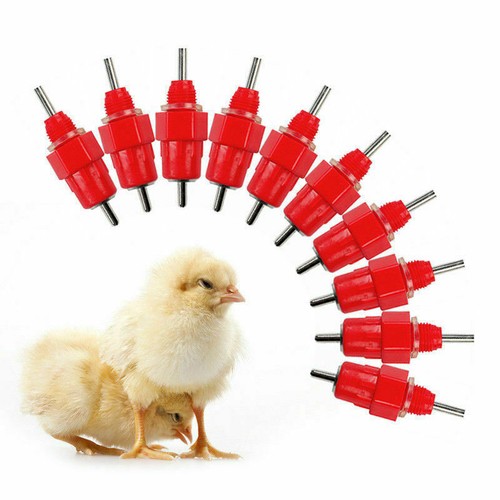 10x chicken nipple - nipple, drinker