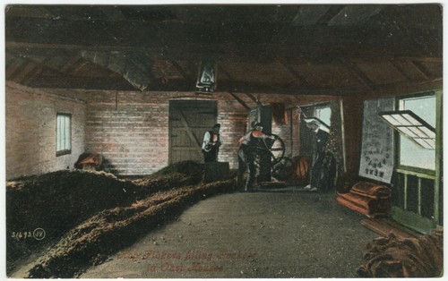 Hop pickers filling packets - hop,