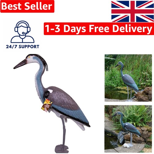 Elegant standing grey heron - elegant,