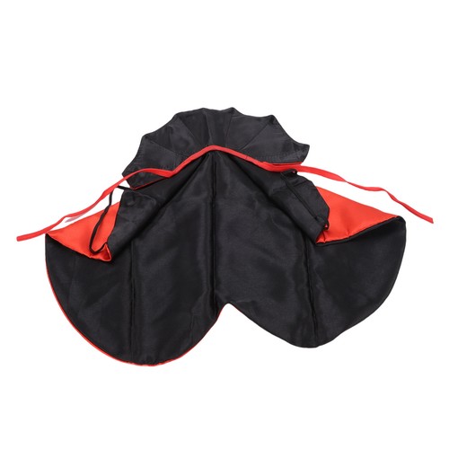 Halloween pet costume - halloween,
