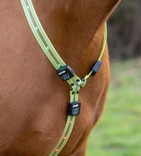 Woof Wear LED Neck Band