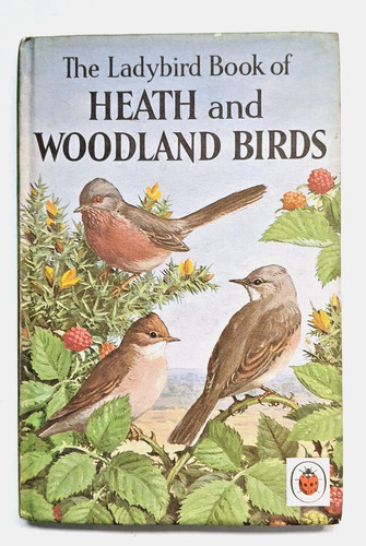 Vintage ladybird book heath - ladybird, book,