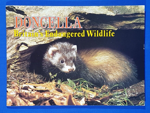 Doncella cigar cards - doncella, britains