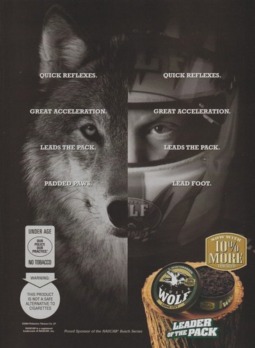 2004 timber wolf tobacco - timber,