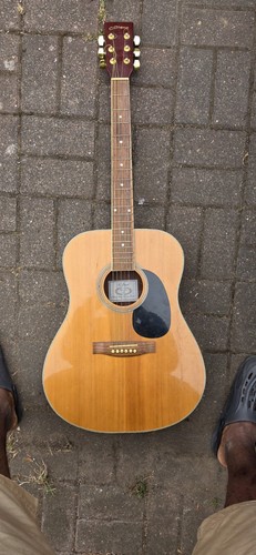 Giant acoustic classical - c,