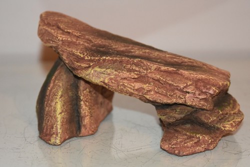 Stunning detailed vivarium - stunning,