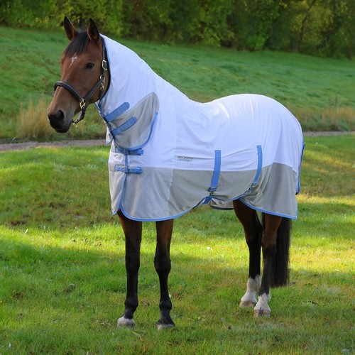 Shires tempest original fly - shires,