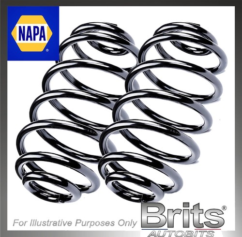 Napa rear coil springs pair - coil,