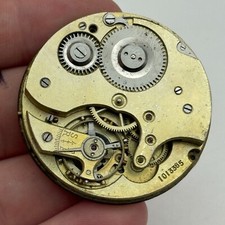 Unidentified 1013385 Hunter