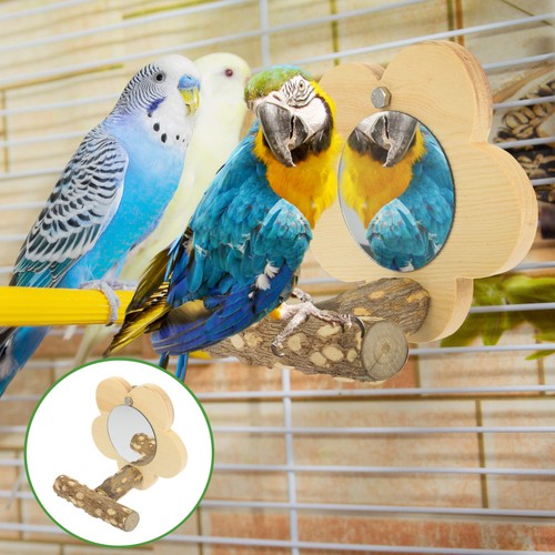 Wooden bird perch with mirror - bird,