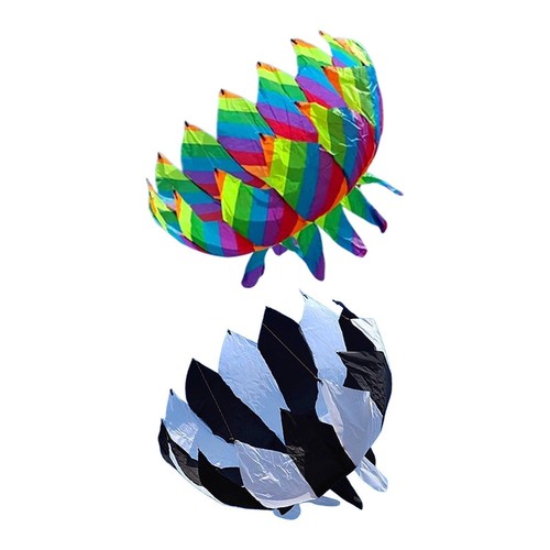Kite entertainment boys - kite,