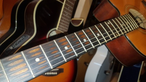 Ibanez travel electro acoustic - ibanez,