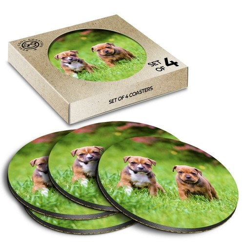 Boxed round coasters - boxed,