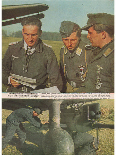 Electronic publication - , (pdf)