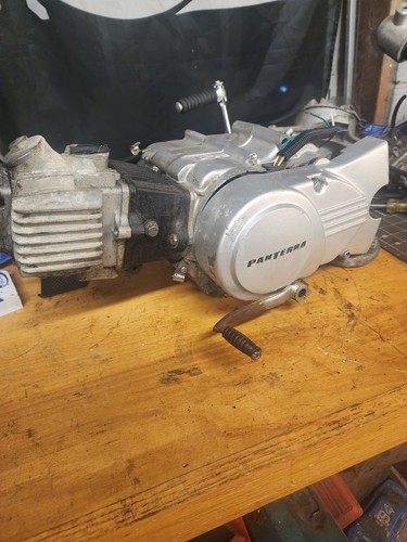 50cc panterra engine 49cc - 50cc,
