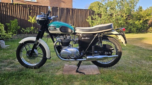 1966 truimph 5ta speed - truimph,
