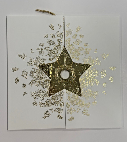 Dior holiday xmas - holiday, 24