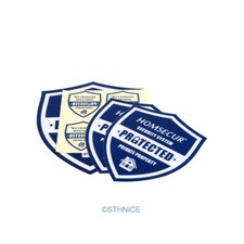 HOMSECUR Wireless&Wired 2G SMS