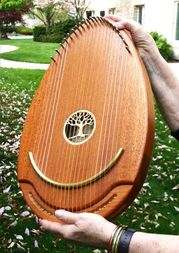 String mahogany reverie - 22-string,