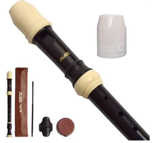 Toyama musical instruments - toyama,