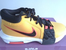 Nike Lebron Witness VIII