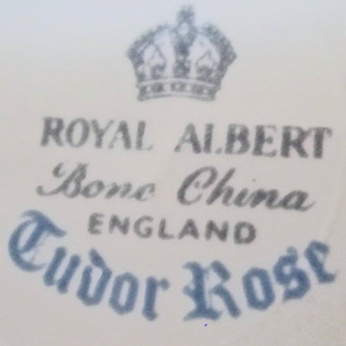 Tudor rose royal albert - rose,