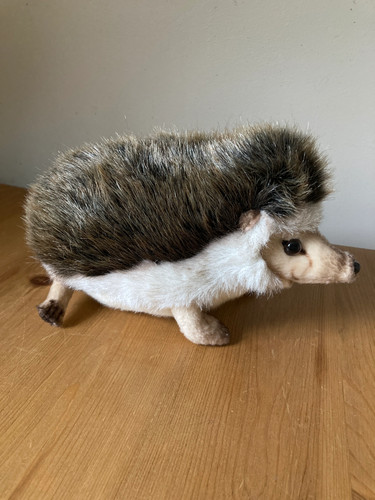 Hansa african pygmy hedgehog - african,