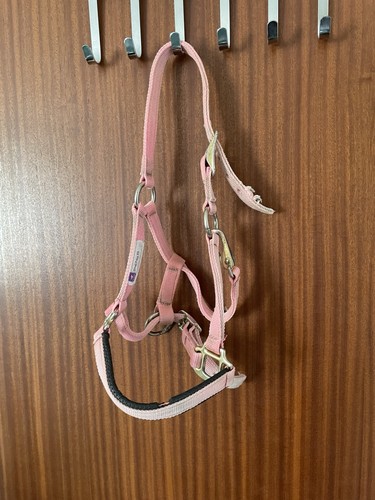 Used pink foal shetland - pink, head