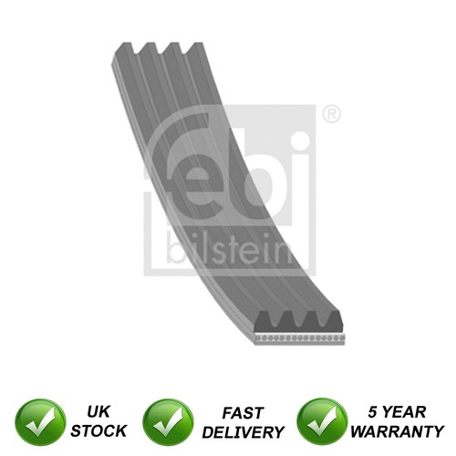 Alternator belt sjr fits - fits, coupe