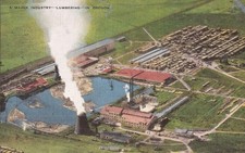 OREGON - Lumbering - Major