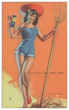 XX1741/ PIN UP Erotic