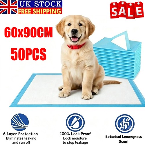 60x90cm large puppy - large, training