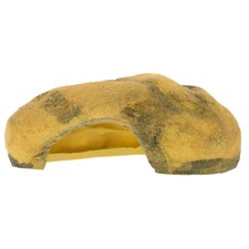  Bearded Dragon Hideout