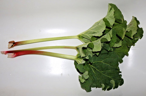 Various rhubarb crowns - crowns,