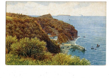 AR Quinton Clovelly From The