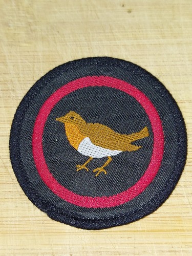 Girlguiding girl guide - girl,