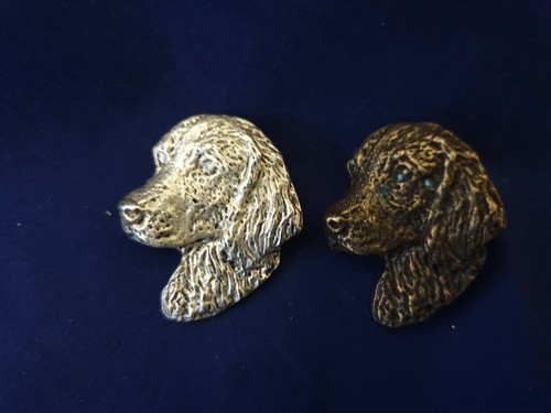 Welsh springer spaniel - springer,
