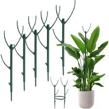 Monstera Plant Support Stakes