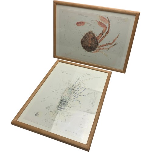 Framed crab and lobster - and,