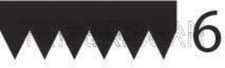 V-Ribbed Belt Black TRISCAN