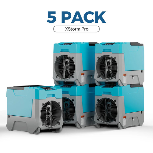 Argendon wholesale pack - argendon,