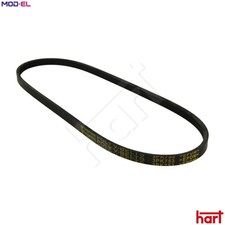 VRIBBED BELT 368 835 FOR