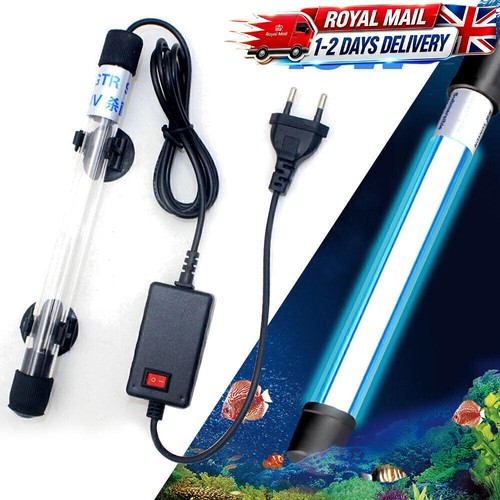 Aquarium fish tank - aquarium, uv