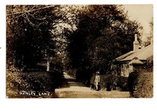 Surrey. Kenley Lane. R/P.