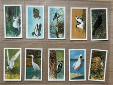 Complete set brooke bond - of,