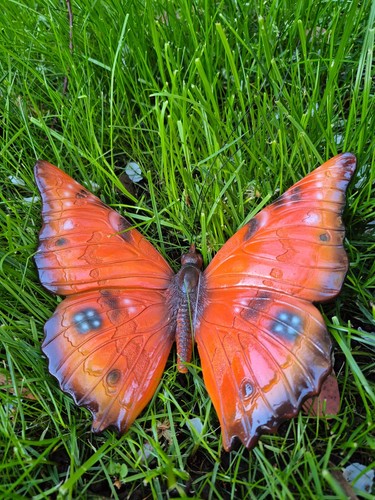 Vivid arts butterfly hanging - vivid,
